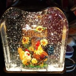 Meet your Posher, Jan